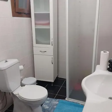 Olimpik Yuzme Havuzlu Luks Triplex *